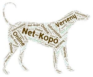 Net-Kopó Online informatikai verseny