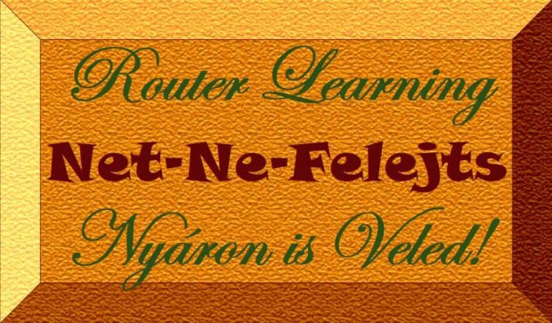 Net-Ne.Felejts