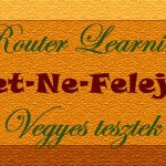 Net-Ne-Felejts