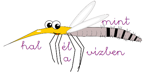 Net-Próba